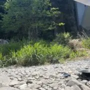 じゃぐりんの画像