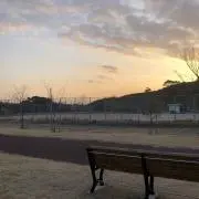 はるの画像