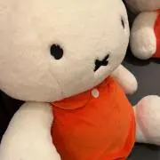 たちまちの画像