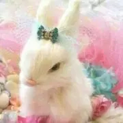 あゆみ(。-ω-)