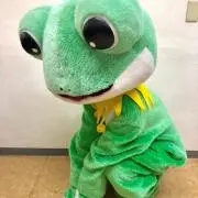 カエル