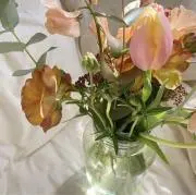 ちひろの画像