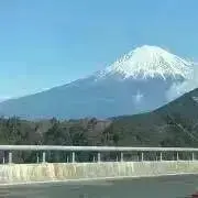 アヒルの画像