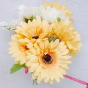 ららの画像
