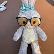 Stella✨フォロー割あり