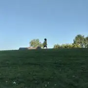 ゆきの画像