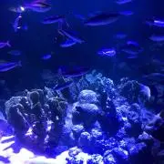 ma_miの画像
