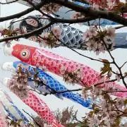 たかちかの画像