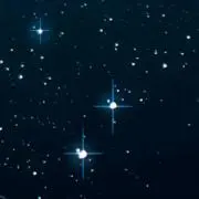 りん/17時まで即日発送の画像