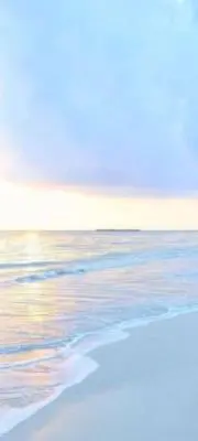 オオニシの画像
