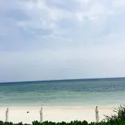 ゆり★の画像