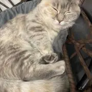 さち