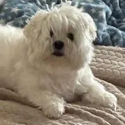 ^^