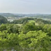 フェルナンデス vホーク バリトン - メルカリ