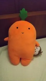 ☆おカロテン☆※7/18-20発送休❗️の画像