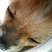 みずたま