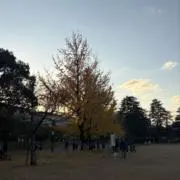 parkの画像