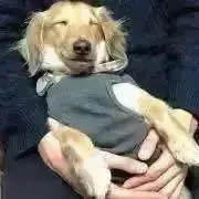 きよへい