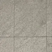 ヌの画像