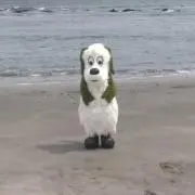 石子の画像
