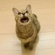 ケイコ（プロフィール必ずご覧下さい）の画像