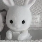 あまの画像