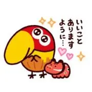 きょろの画像