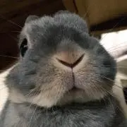YURIの画像