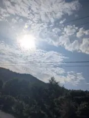 ヒラノの画像