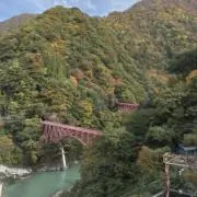 合法紙