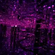 酒井の画像