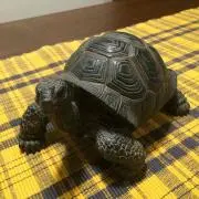 レクタンゴー