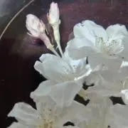 〖毎日セール〗古着屋たっちゃん