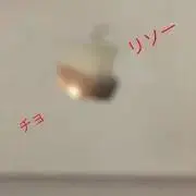 RisOの画像
