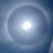 ムーの画像