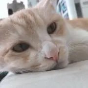 F☀️の画像