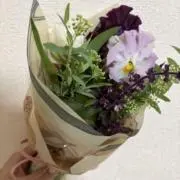 Nの画像