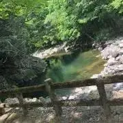 ぱおの画像