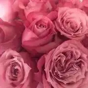 ゆ～・*.✿Thank you.✿.*の画像