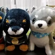 こうきままりんの画像