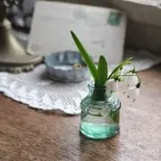 ドンちゃん
