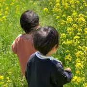 四季