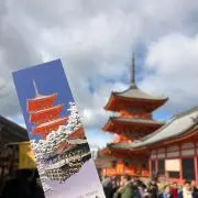 あかさの画像