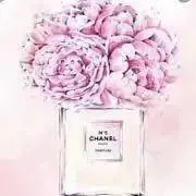 ♡tiara♡