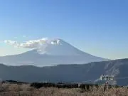 ヒカルの画像