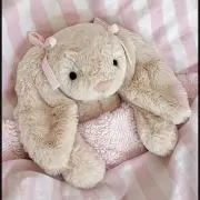 はるかの画像