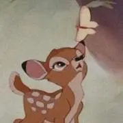 かぼちゃ