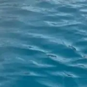 SMooの画像