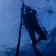 おふしょあ