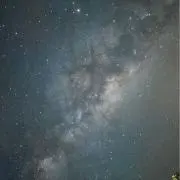 cedarの画像